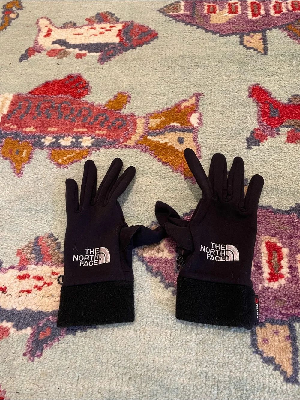 The North Face Men's Outdoors Winter Insulated Fleece Ski/Snow Gloves
